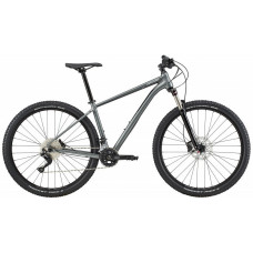 Велосипед 29" Cannondale TRAIL 4 рама - L 2020 GRY (европейская комплектация)